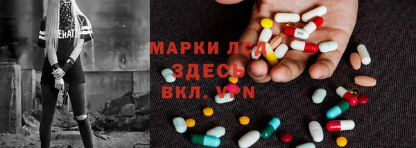 спиды Каменка