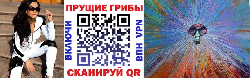 Псилоцибиновые грибы Magic Shrooms  Правдинск 